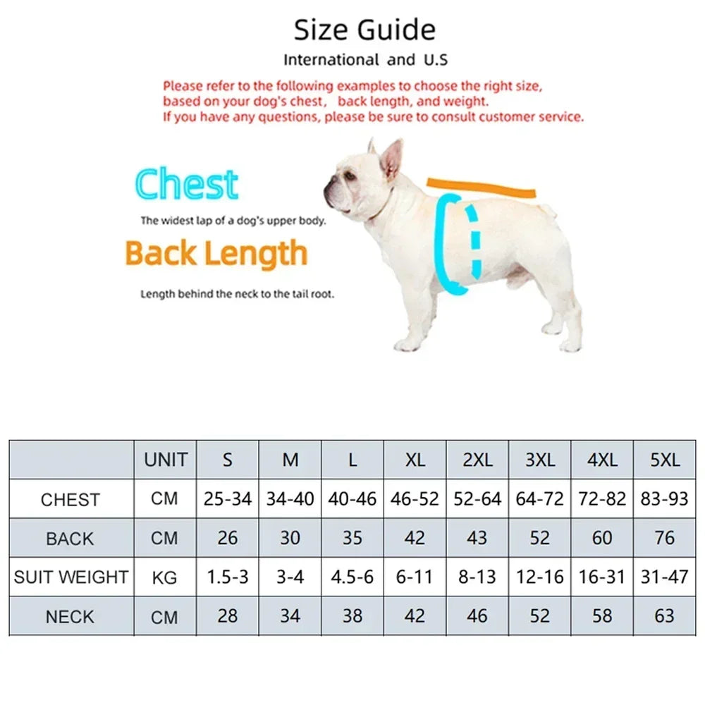 Winter Windproof Dog Jacket – Reflective Coat for Small Dogs Dog Winter Jacket HIP