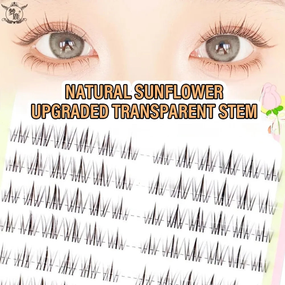Large Capacity Segmented Lashes Transparent Black Band Sunflower False Eyelashes Natural Soft Fairy Style for Effortless Volume HIP