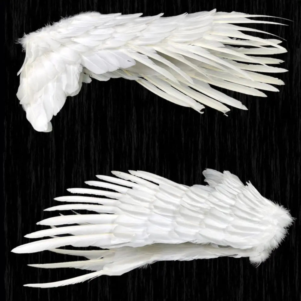 Foldable Angel & Devil Costume Wings – Unisex White & Black Costume Wings HIP