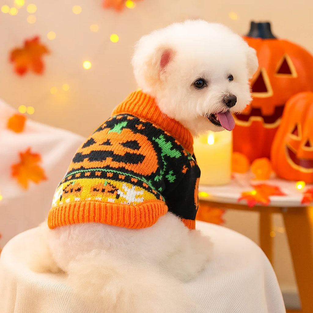Halloween Pumpkin Knit Pet Sweater – Dogs & Cats | HIP Pet Halloween Sweater HIP