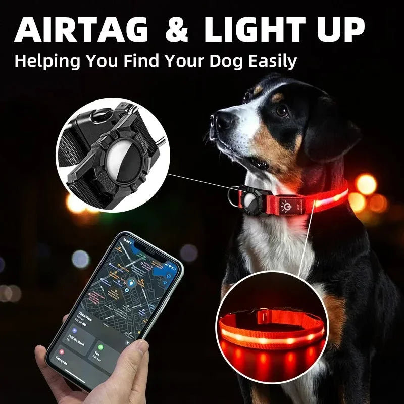 LED Light-Up Dog Collar with AirTag Cover | USB Rechargeable LED Dog Collar HIP