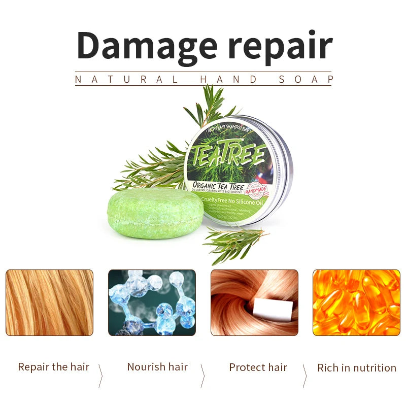 Tea Tree Essential Oil Handmade Shampoo Bar – Oil Control Shampoo Bar Soap HIP