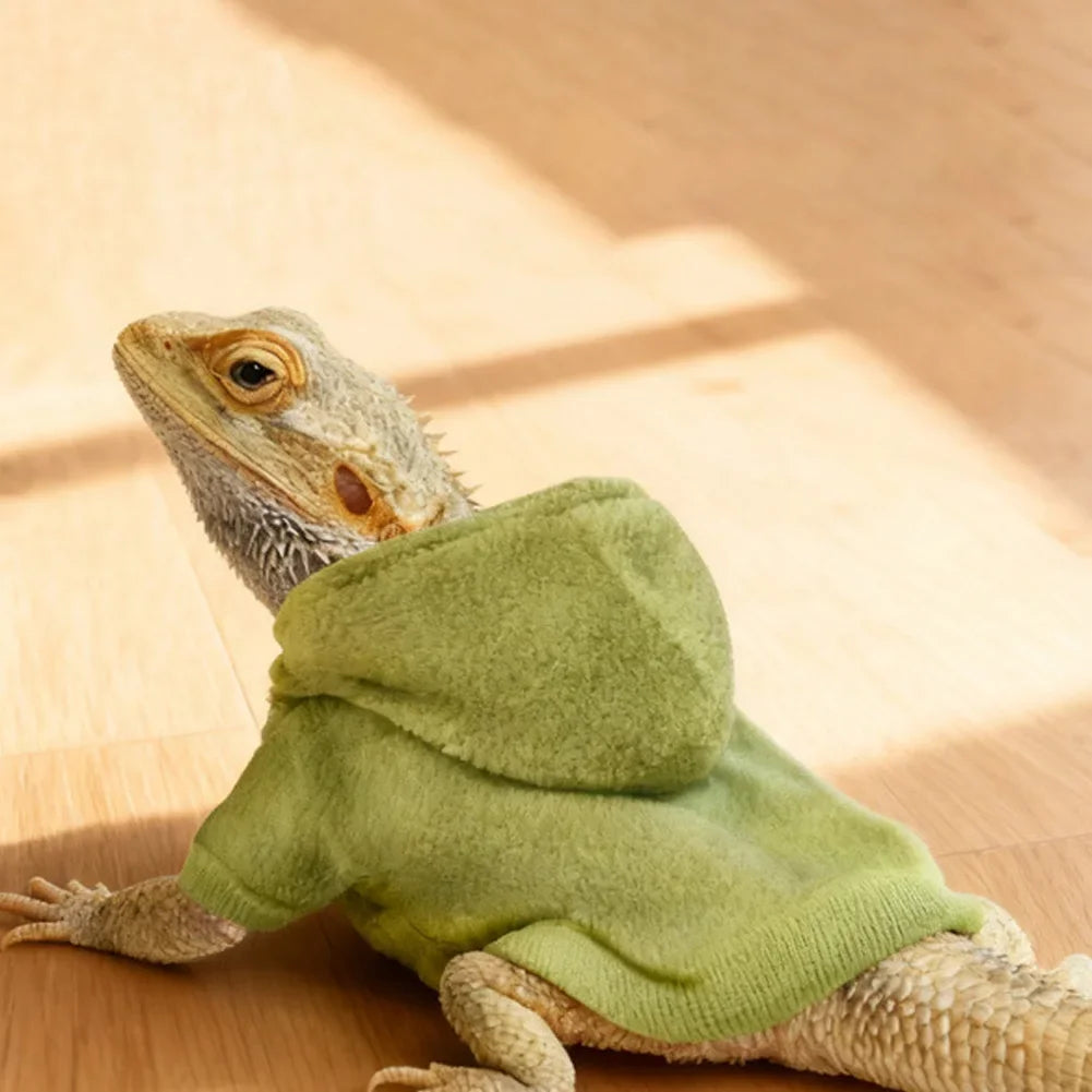 Warm Pet Sweater Hoodie Coat Apparel For Bearded Dragons Lizards Reptiles Chameleons Geckos Hamster Small Animals Photo Prop HIP Fruit Green